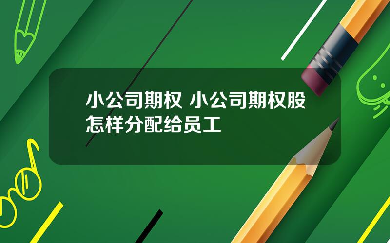 小公司期权 小公司期权股怎样分配给员工